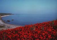 puntaaderci.jpg