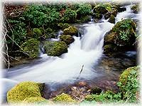 acqua.jpg